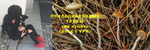 меф Пролетарск