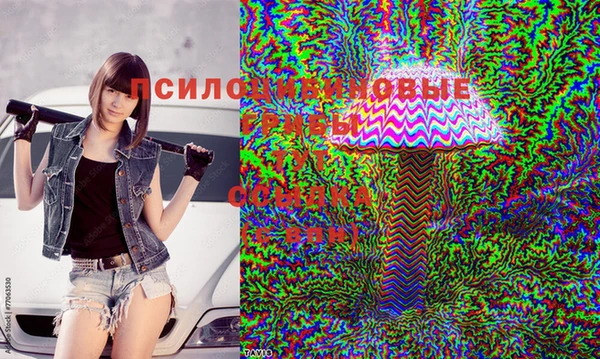 ПСИЛОЦИБИНОВЫЕ ГРИБЫ Абинск