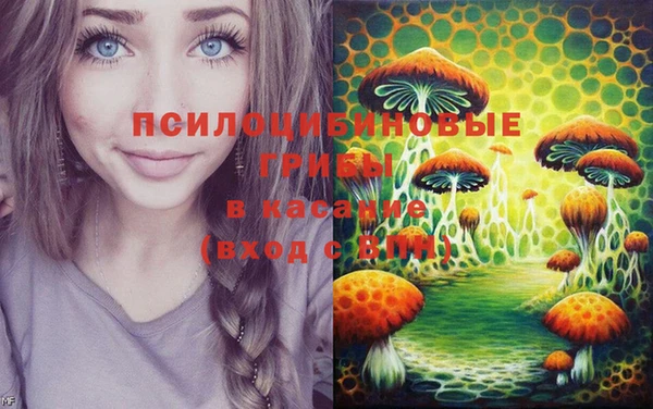 ПСИЛОЦИБИНОВЫЕ ГРИБЫ Абинск