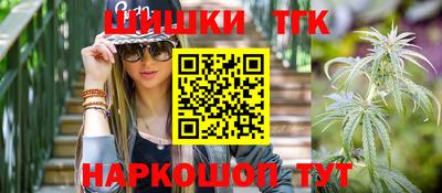 СК Дубна