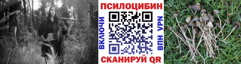 Галлюциногенные грибы мухоморы  где купить   Краснодар 